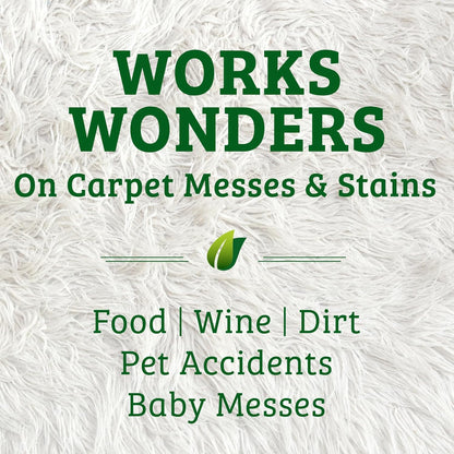 Biokleen Bac-Out Enzymatic Stain & Odor Remover for Carpet - Removes Stains and odors caused by dirt, pet accidents, wine, food, smoke - 2 Pack 32 oz w/Micro Cleaning Towel