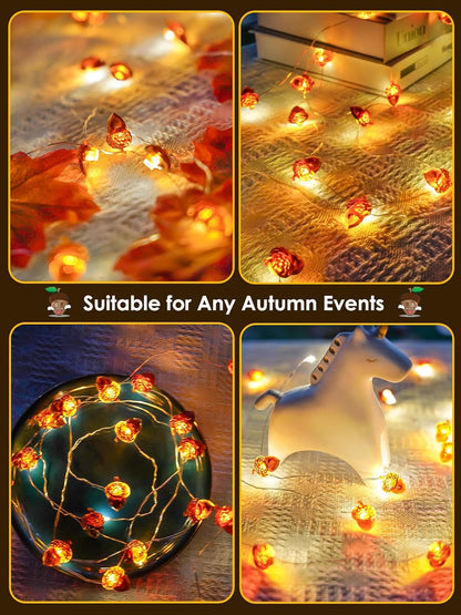 Fall Decor Acorn Fairy Lights Battery Operated with Remote, 10ft 30LED Acorn Fall Lights String 8 Modes & Timer Waterproof Outdoor Indoor for Thanksgiving Autumn Harvest Garland Halloween Decorations