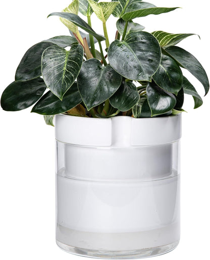 Phoenix Vine 10 Inch Self Watering Planter, White Terracotta Clay Pot with Glass Reservoir for Indoor Plants, Herbs, Flowers, Set of 1, 52-B-I-1