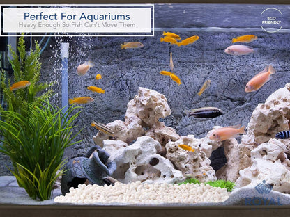 Royal Imports 30LBS River Rocks Decorative Ornamental Pebbles, Garden Landscaping Stones, Gravel Filler for Plants, Vases, Succulents, Home Decor, Aquariums, Crafting, Animal Habitat - Small White