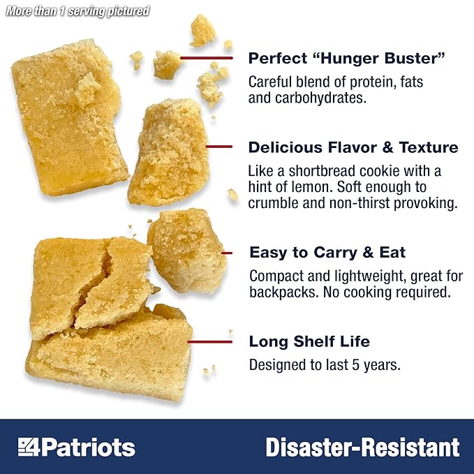 4Patriots Emergency Food Bars: Non-Perishable S.O.S Ration Designed to Last 5 Years, 1 Case (10packs) - 90 Servings
