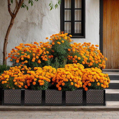 Large Planters for Outdoor Plants 14" Tall Planter Box, Raised Beds for Gardening Self Watering, Elevated Planter Box with Legs, Rectangular Garden Planters for Outdoor Plants Flowers, 78.7"L x 15.7"W