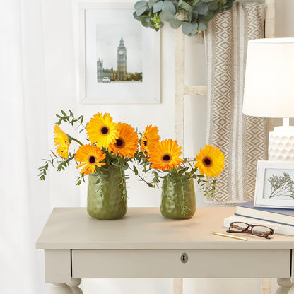 DII Kitchen Accessories Collection, Textured Matte Ceramic Canister Set, Sage, Dimple, 2 Piece