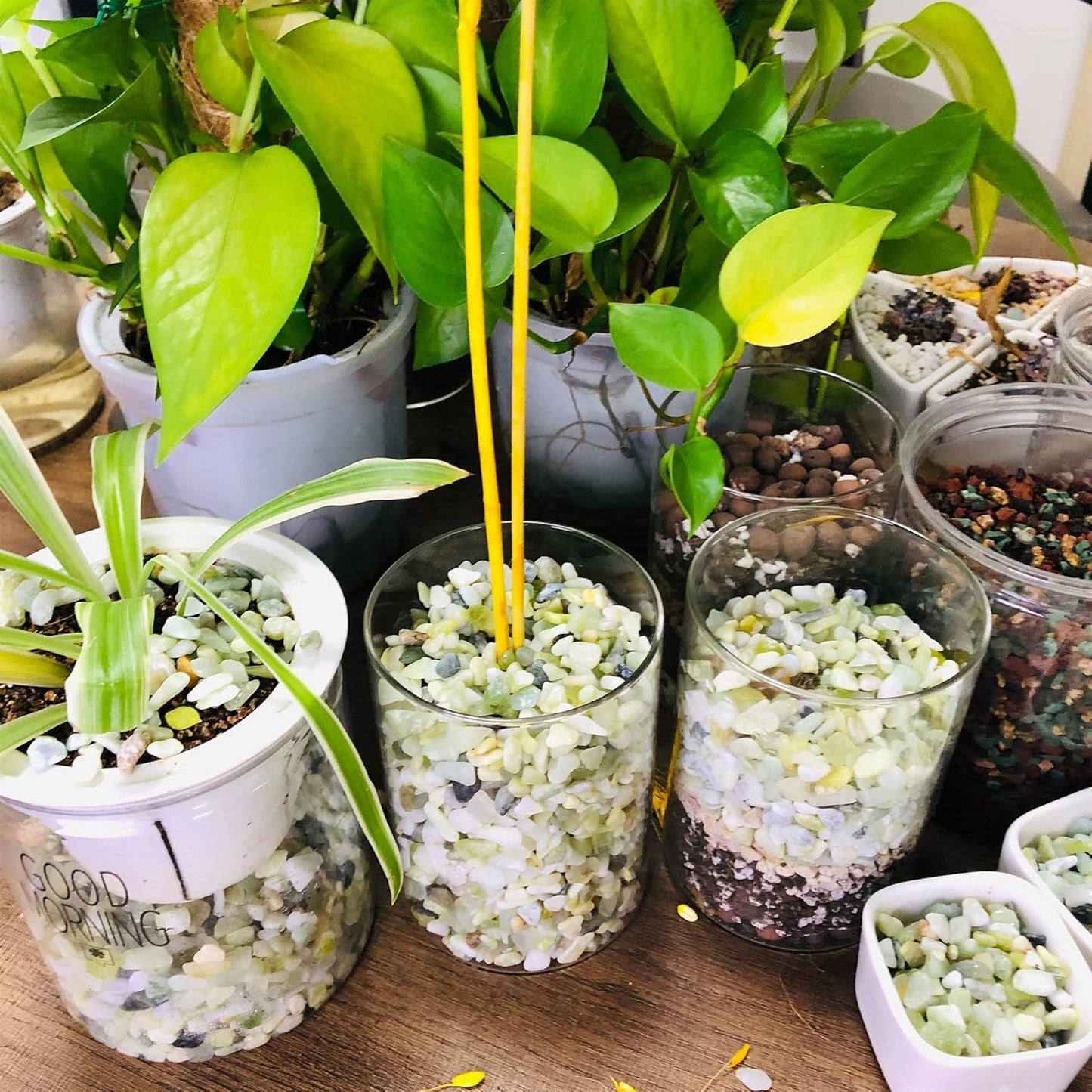 18lb Natural Gravel for Aquarium Succulents Bonsai Terrarium Fish Tank,1/5" Decorative Stone for Plants Indoor