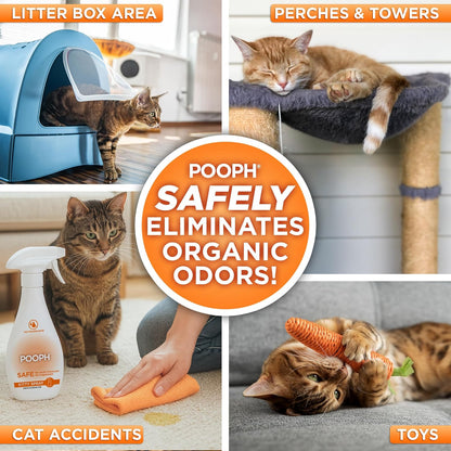 POOPH Kitty Spray - Odor Eliminator, 32oz - Dismantles Odors on a Molecular Basis, Cats, Freshener, Eliminator, Urine, Poop, Pee, Deodorizer, Fresh, Clean, Furniture, Potty, Safe - 2 Pack