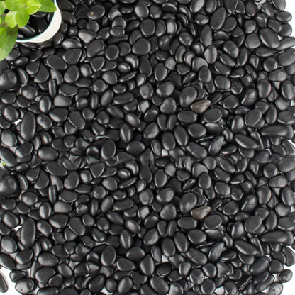 45lb Black Pebbles for Plants,Potting,Succulents Aquarium Fish Tank Vases Decorative Garden Polished Gravel Rocks Stones