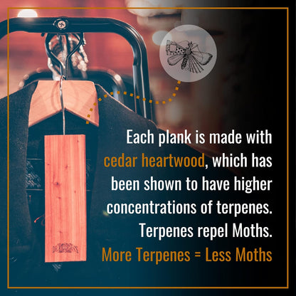 Dr. Killigan's Cedarwood Planks - Cedar Blocks for Clothes Storage, Great Alternative to Moth Balls for Closet, Drawer Deodorizer, Sustainably Harvested in USA (10-Pack)