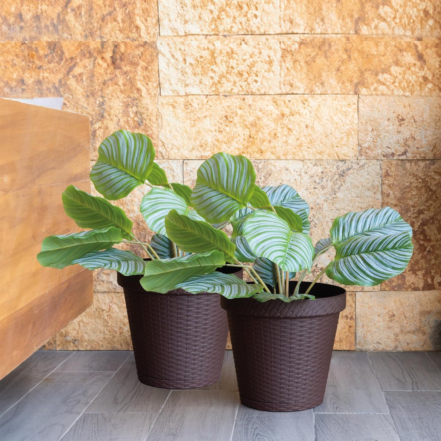 Elly Décor Set of 2 12 inch Round Saucer Modern Self Watering Planter Plates, Pots with Rattan-Like Finish, 12x12 Chocolate Brown