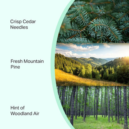 Pine Candle Large Volcano Jar -19oz 4"x5" Giant Candle with Wooden Wick, Gold Leaf Foil Gift Box & Highly Protective Shipping Box - Spotless Leopard