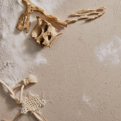 Thymes Aqua Coralline Reed Diffuser Oil - Room Fragrance Oil - Flameless Home Fragrance - 7.75 Fl Oz