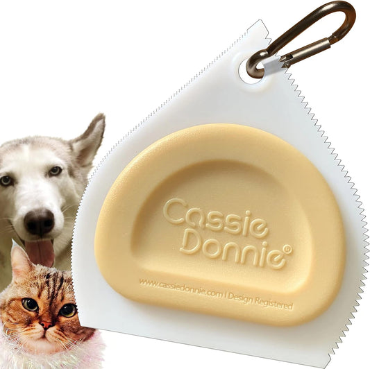 Mini Pet Hair Detailer, Pet Hair Remover for Carpet Couch Bedding Sofa, Car Interior Auto Detailing Supplies, Dog Cat Fur Reusable Brush for Furniture