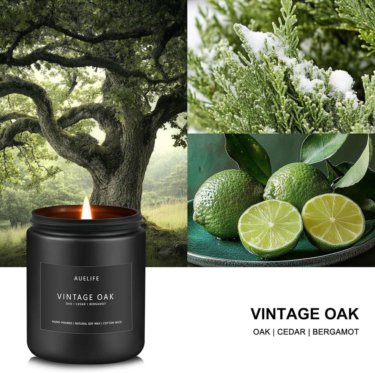 Scented Candles for Men | Vintage Oak Candle - Candle for Men, Manly Candles for Home Scented, Man Gifts for Him/Friend -7oz Black Jar