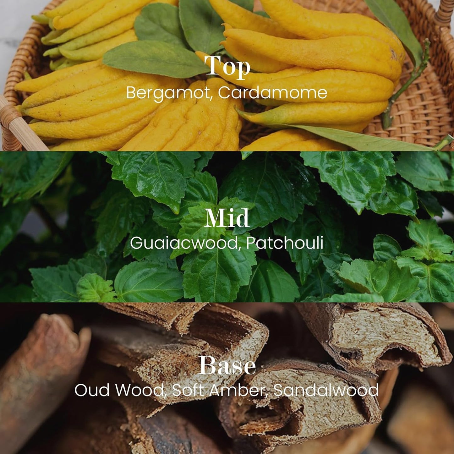 M&SENSE Natural Soy Candle| Oud Wood | 8.82 oz, 50H Burn | Minimalist Scented Candle for Relaxation, Gifting, Home Décor | for Bedroom, Office, Party Medium