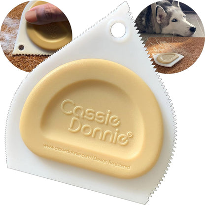 Mini Pet Hair Detailer, Pet Hair Remover for Carpet Couch Bedding Sofa, Car Interior Auto Detailing Supplies, Dog Cat Fur Reusable Brush for Furniture