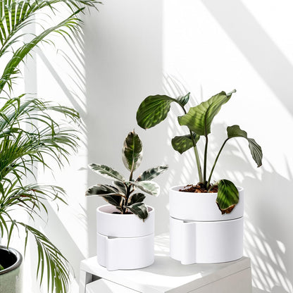 Phoenix Vine 6.5 Inch Self-Watering Planter Pot with Terracotta Insert, Deep Water Reservoir, and Ceramic-Alike BPA-Free Plastic Pot for Plant, Modern Planter for Houseplants, White, 53-A-S-1