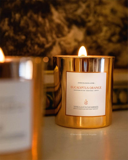 Benevolence LA Eucalyptus Orange Wood Wick Candles | Soy Scented Candles for Home | Gifts for Women and Men | Home Fragrance | Aromatherapy | Shelf Decor, Bathroom Freshener | 8oz, 45 Hour Burn