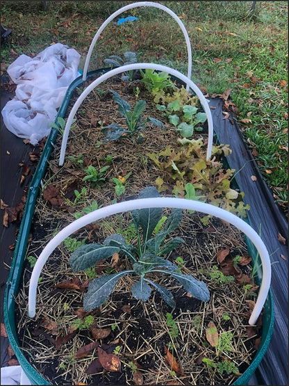 2 Pack 8x4x1FT Galvanized Raised Garden Bed Kit Oval Metal Ground Planter Box Outdoor Bottomless Planter Raised Beds for Vegetables Flowers Herbs Fruits, Green