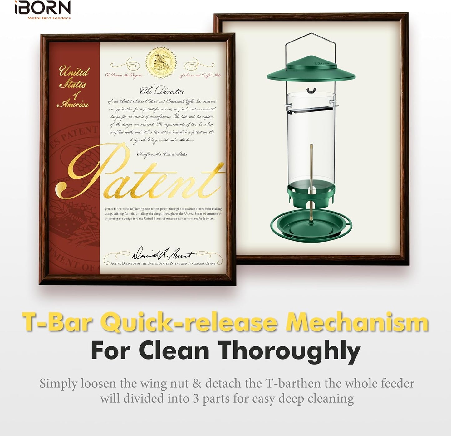 iBorn Metal Bird Feeders for Outdoors Hanging,Wild Bird Feeders for Cardinal,18cm Large Roof&Tray New Green 6 Port (Seed is not Included)