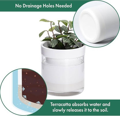 Phoenix Vine 4 Inch Self Watering Planter, White Terracotta Clay Pot with Glass Reservoir for Indoor Plants, Herbs, Flowers, Set of 2, 52-B-E-2