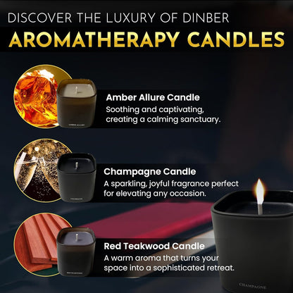 Candle Gift Set – 3 Scented Soy Candles, Clean Burn 50+ Hrs – Flower-Inspired Scents: Amber, Red Tea Wood, Champagne – Bulk Set for Women Giftset, 9.8oz Each, Gift Idea for Women, Home Decor, Birthday