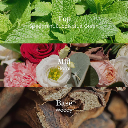 M&SENSE Natural Soy Candle| City Oasis | 5.3 oz | Minimalist Scented Candle for Relaxation, Gifting, Home Décor | for Bedroom, Office, Party Small