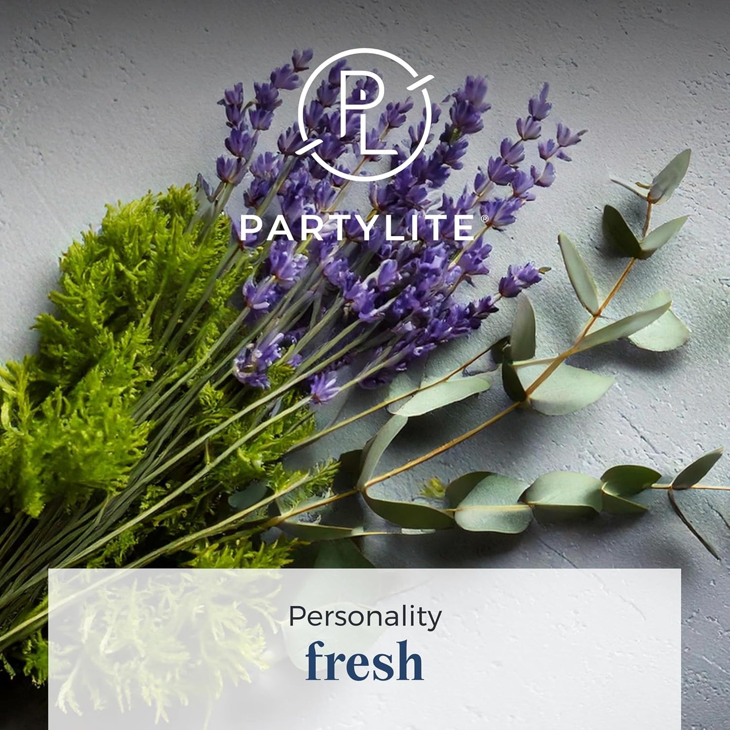 PartyLite 3-Wick Jar Candle, Highly Fragranced Clean Burning Glass Candle, 25-45 Hours Burn Time (Winter Morning)