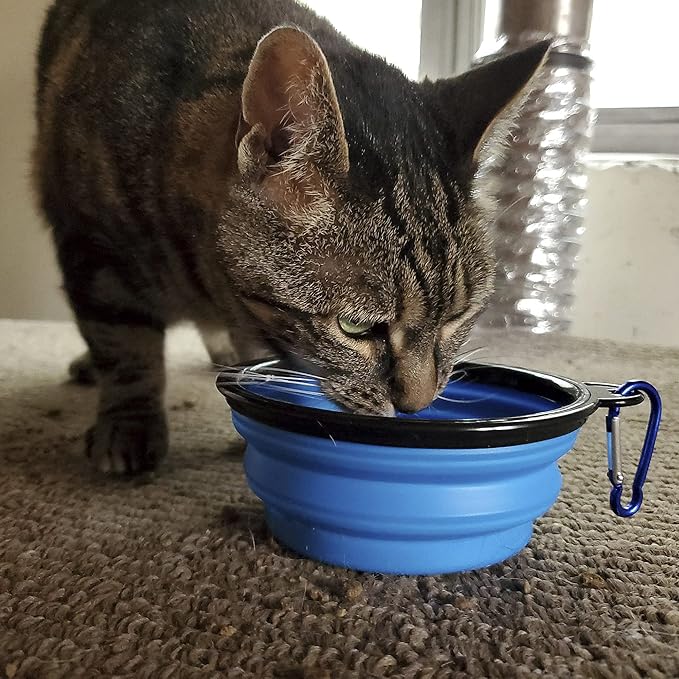 Pet Emergency Kit for Cats - Backpack