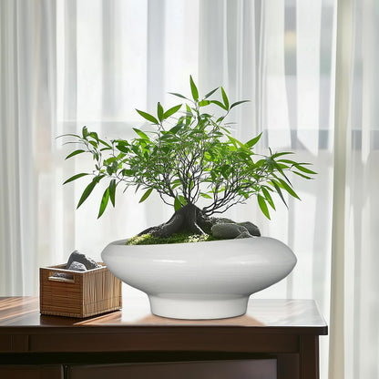 Bonsai Pots 13 Inch - Ceramic Succulent Pots with Drainage Hole Decorative Plant Pot Indoor Large Outdoor Planter Modern Flower Pot for Home Garden Office Room Decor Gray