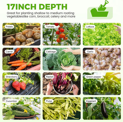 Land Guard 4×2×1.5ft Galvanized Raised Garden Bed Kit, Galvanized Planter Garden Boxes Outdoor, Oval Large Metal Raised Garden Bed for Vegetables……… (Classic Silver