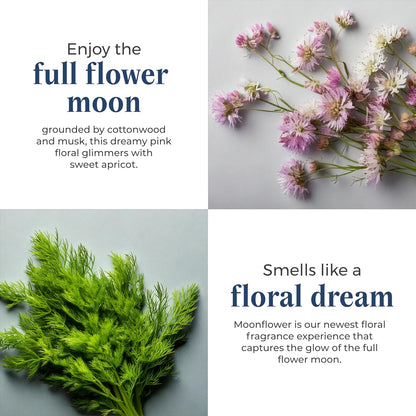 PartyLite 3-Wick Jar Candle, Highly Fragranced Clean Burning Glass Candle, 25-45 Hours Burn Time (Moonflower)