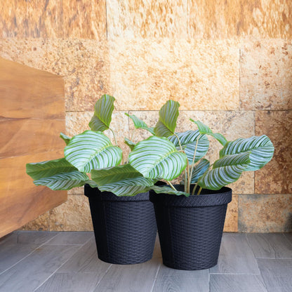 Elly Décor Set of 2 12 inch Round Saucer Modern Self Watering Planter Plates, Pots with Rattan-Like Finish, 12x12 Gray