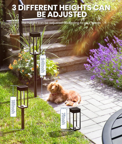 Bright Solar Pathway Lights Outdoor, 6 Pack IP65 Waterproof Solar Garden Lights for Outside Lighting, Yard Path Lawn Walkway Driveway Landscape (Warm White)