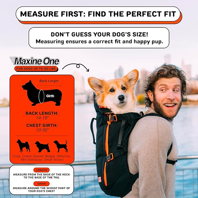 The Maxine One Medium Dog Carrier by Little Chonk | Dog Backpack Carrier for Medium Sized Breeds | Adjustable Front Facing Pet Carrier for Travel | Dog Hiking Backpack - Bark After Dark Black