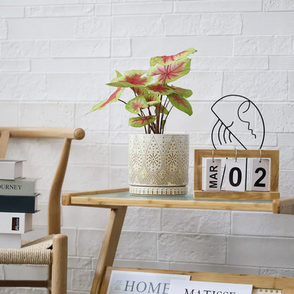 6 Inch Indoor Plant Pots with Drainage Holes and Saucers, Ceramic Planter for Plants, Flower Pot - Set of 2