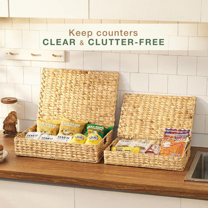 Set of 2 Wicker Baskets with Lid for Organizing - Decorative Storage Boxes With Lids for Home Decor, Shelves - Organic Modern Home Decor - Remote Box - Coffee Table Basket