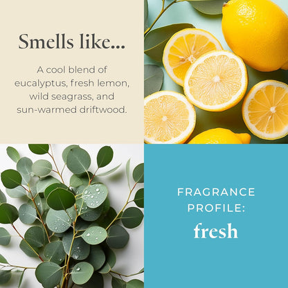 PartyLite Sea Grass Eucalyptus Scented, Notes of Eucalyptus, Lemon, Seagrass & Driftwood, 13.2oz 3-Wick Jar Candle, 45 Hour Burn Time, Luxurious Fragrance, Ideal for Gifting