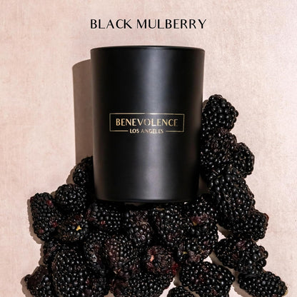 Benevolence LA Black Berries (Baies) Scented Candle | Soy Candles, Black Candle for Home | Gifts for Women and Men | Home Fragrance | Aromatherapy | Bathroom Freshener | 10oz