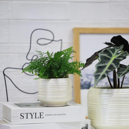 Mini Succulent Planter Set – 3.7 Inch Ceramic Pots with Drainage for Indoor Plants, Small Decorative Flower Pots for Cactus and House Plants, Set of 4