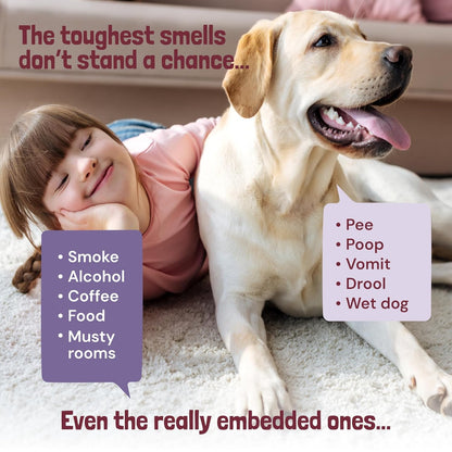 Sunny & Honey Carpet Freshener Powder - 20 Oz Pack, Wildberry Scent - Carpet Deodorizer Powder & Odor Eliminator for Upholstery, Furniture & Rugs, Kid & Pet Safe