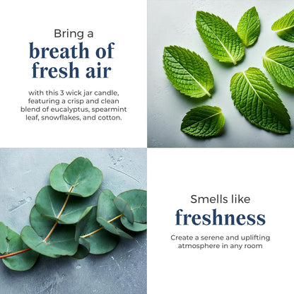 PartyLite 3-Wick Jar Candle, Highly Fragranced Clean Burning Glass Candle, 25-45 Hours Burn Time (Snowflakes & Cotton)