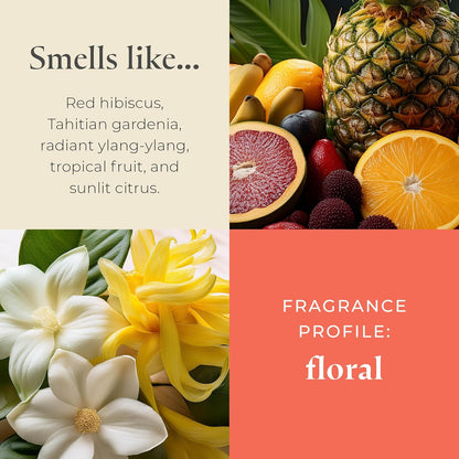 PartyLite Beachside Tiare Scented, Notes of Gardenia, Coconut, Red Hibiscus, Peach & Ylang Ylang, 13.2oz 3-Wick Jar Candle, 45 Hour Burn Time, Luxurious Fragrance, Ideal for Gifting