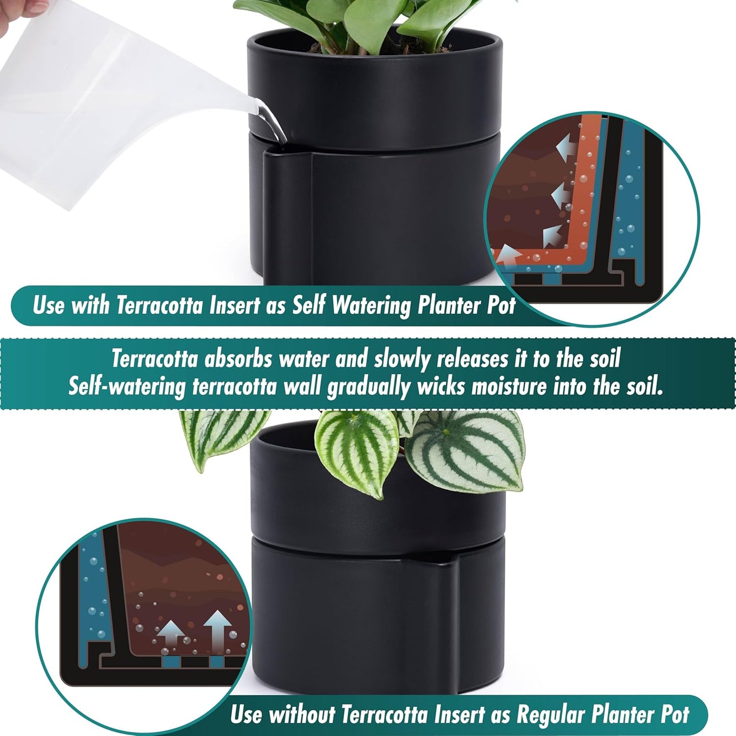 Phoenix Vine 8 Inch Self-Watering Planter Pot with Terracotta Insert, Deep Water Reservoir, and Ceramic-Alike BPA-Free Plastic Planter Pot for Plant, Modern Planter for Houseplants, Black, 53-A-T-2