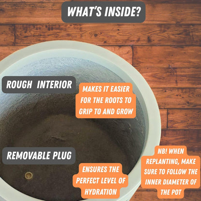 Fox & Fern 14.6 Inch Extra Large Planter — Premium Lightweight Fiberstone Matte White Plant Pot with Drainage Plug; Big Planter for Indoor & Outdoor Use; Weather Resistant & UV Resistant