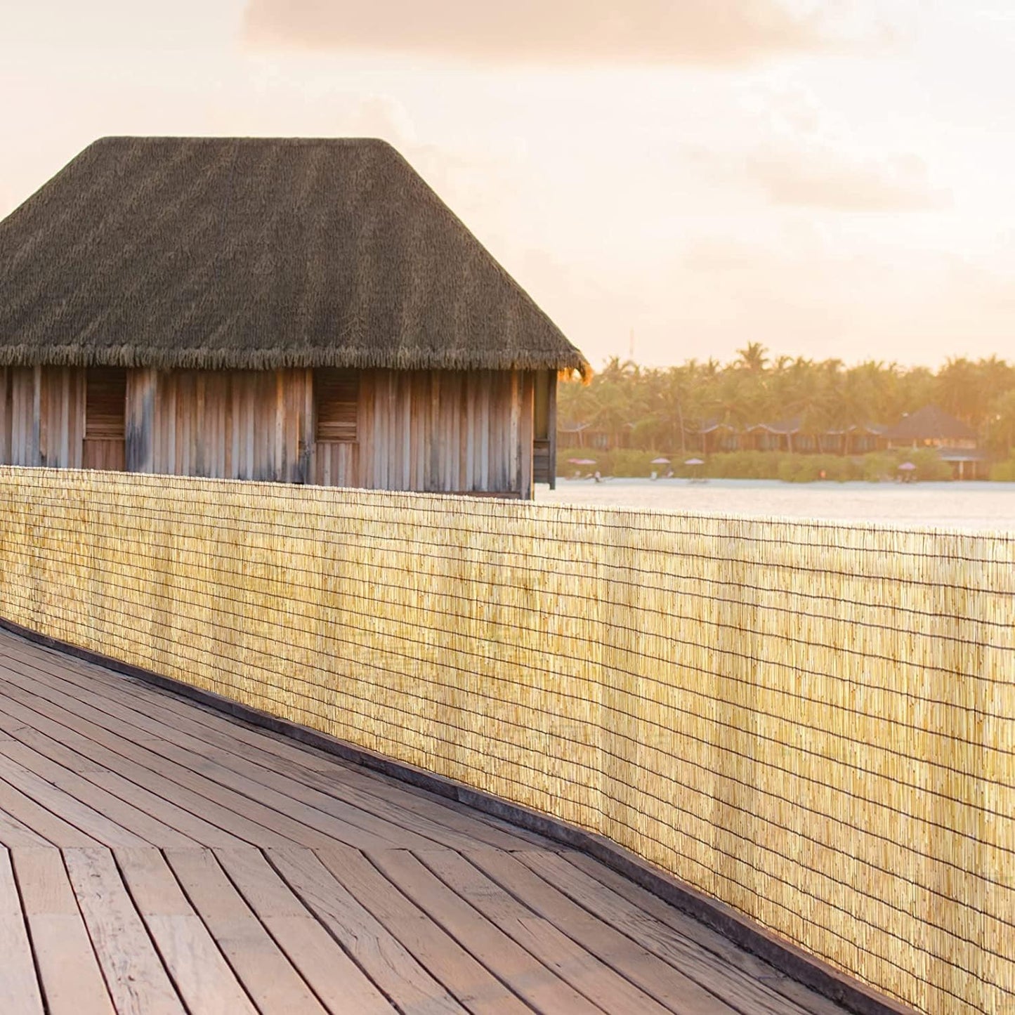 Natural Reed Fencing Rolls,5.5FT X 16.4FT Reed Screen Curtain Fence Covering Privacy Bamboo for Outdoor Backyard Patio（Yellow）