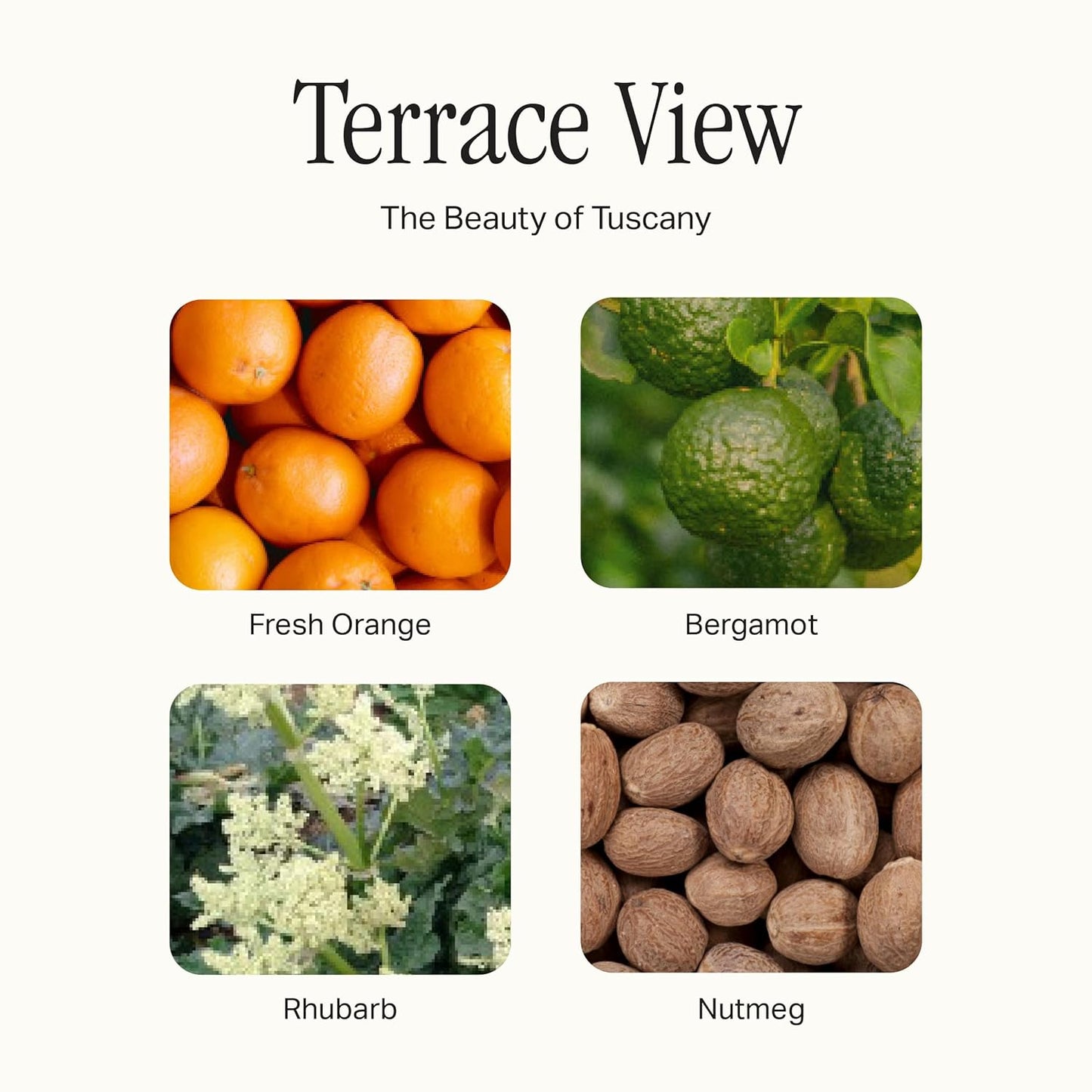 The Scented Candle, Luxury Candle with Vegan Soy Wax Blend, Terrace View, 7.5 Oz