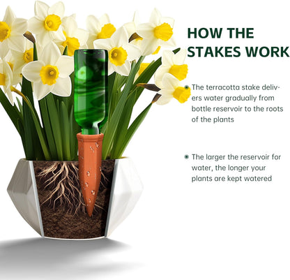 Large Terracotta Watering Spikes with Lids, Automatic Plant Waterer Outdoor | Indoor, Vacation Friendly Clay Plant Watering Devices System, Slow Release Self Watering Planter Insert, 6 Pack