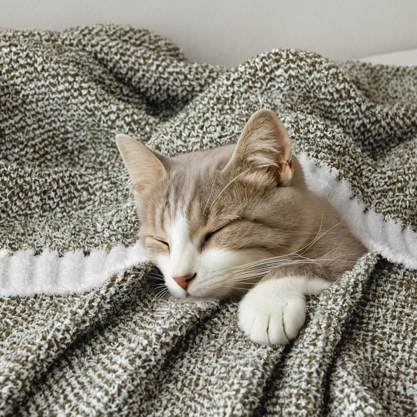 MIULEE Super Soft Throw Blanket for Couch, Olive Green Cozy Fluffy Warm Blankets Lightweight Knit Throw Blankets for Sofa, Bed, Chair, Living Room, Camping, Picnic, 50 x 60 inch