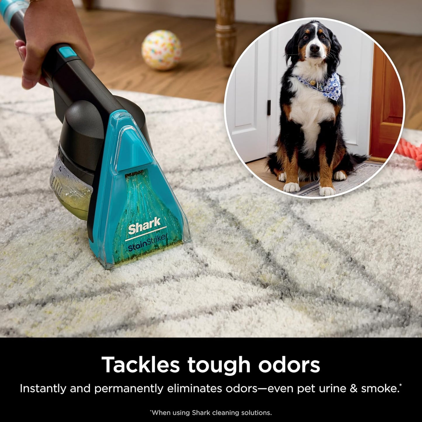 Shark CarpetXpert HairPro with StainStriker, Upright Carpet, Area Rug & Upholstery Cleaner, Perfect for Pets & Hair Removal, Carpet Shampooer, 4 Cleaning Tools, Pet Cleaning Solution, Copper, EX301