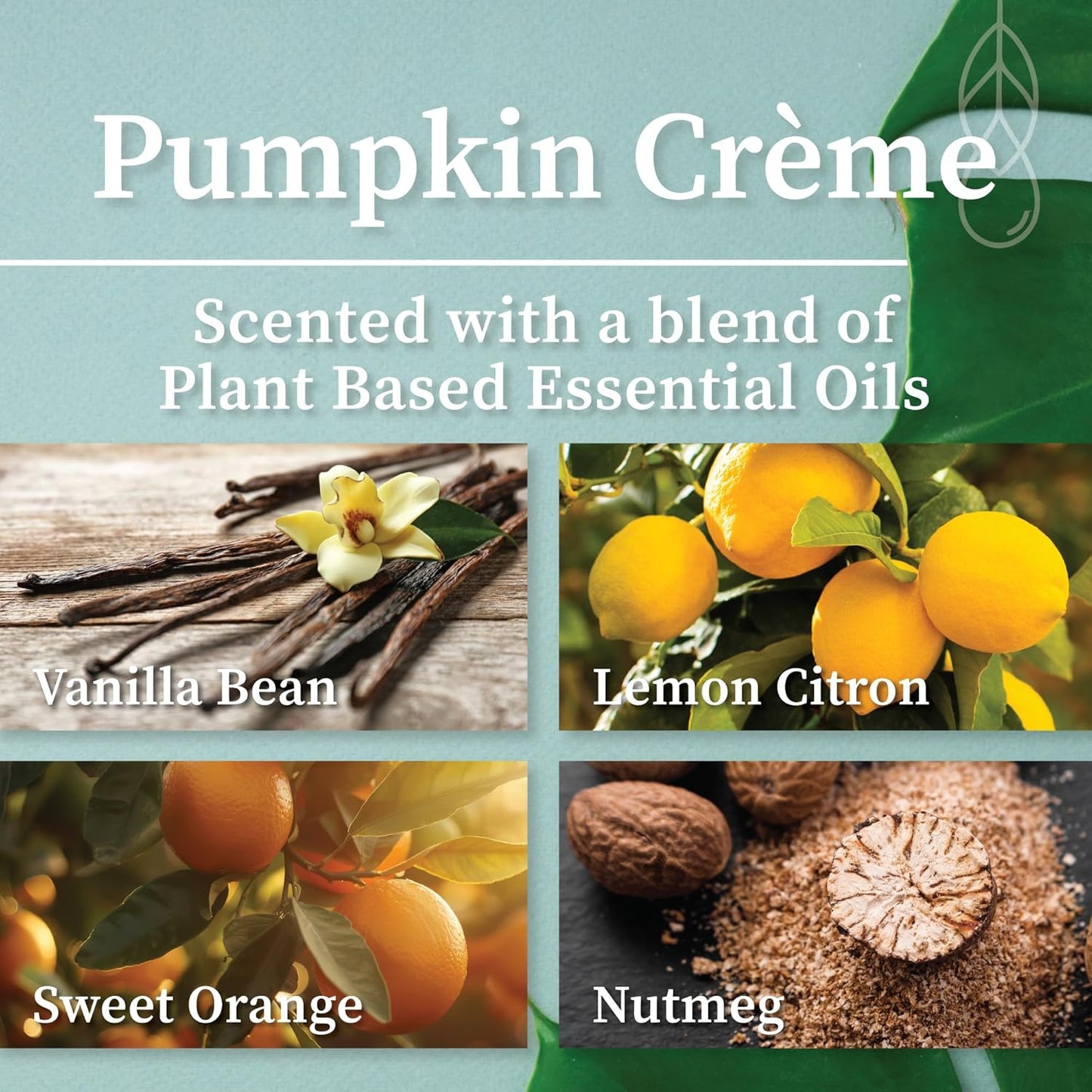 Hemlock Park Wood Wick Candle Handcrafted with Natural Coconut Wax and Essential Oils (Amber & Gold 7.2 oz, Pumpkin Crème)