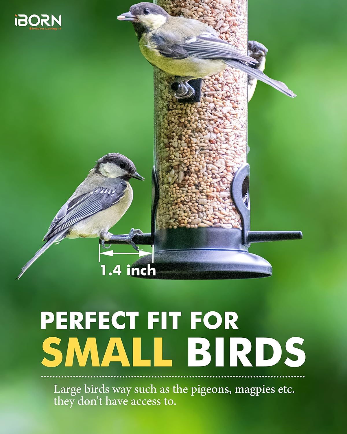 iBorn Metal Bird Feeders Black Wild Bird Feeder for Outdoors Hanging All Metal Black Finishing 14 Inch 6 Port(Seed is not Included)